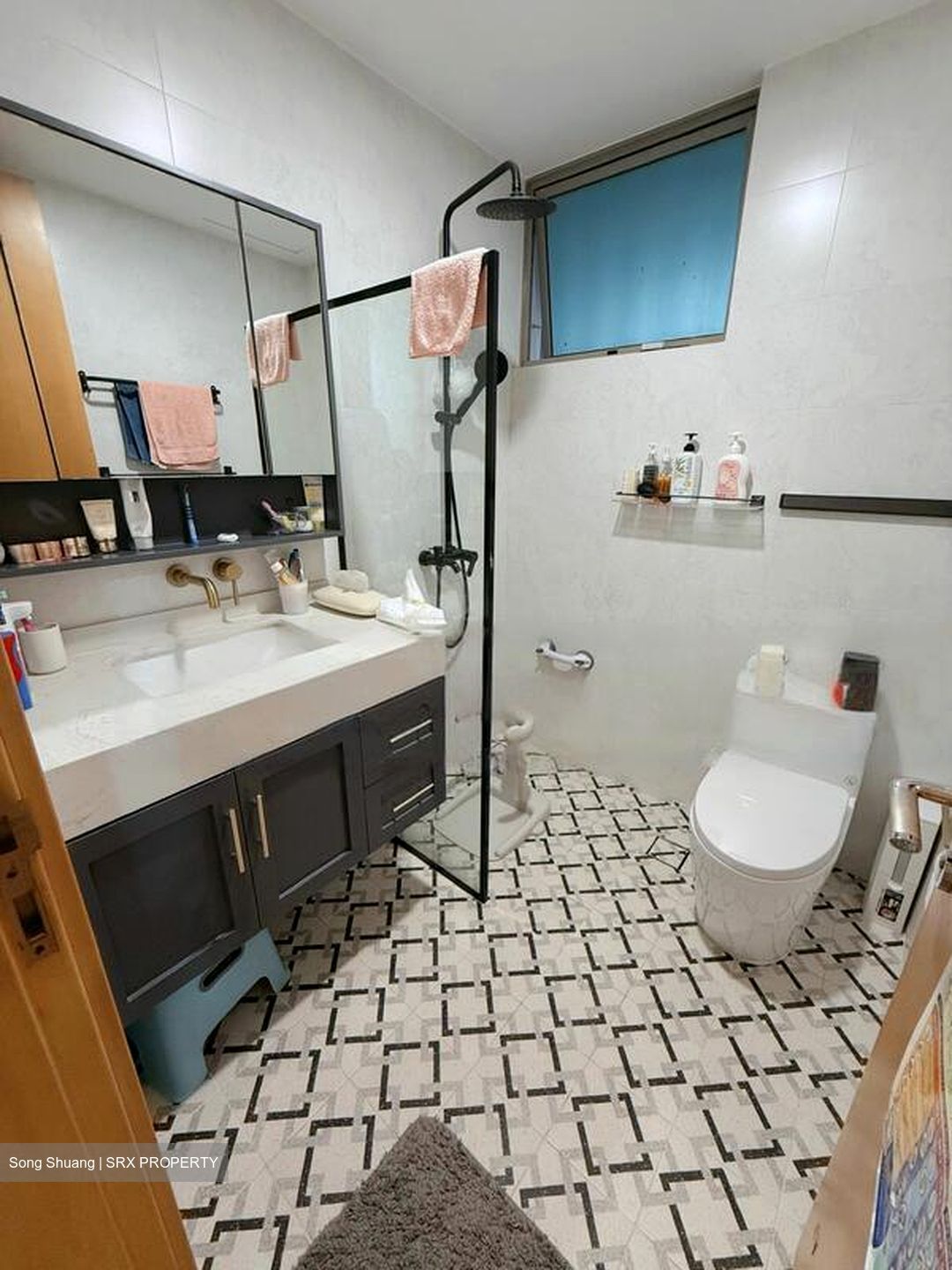 Amaryllis Ville (D11), Condominium #569500051